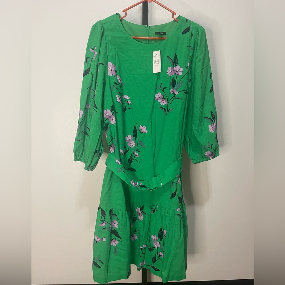 Ann Taylor dress. Blouson elbow sleeves. Tall NWT.